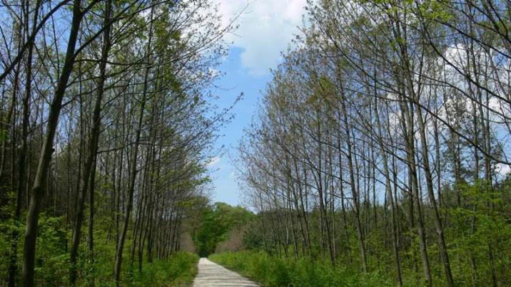 fot&#x2e;&#x20;K&#x2e;&#x20;Majka