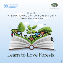 Międzynarodowy Dzień Lasów 2019